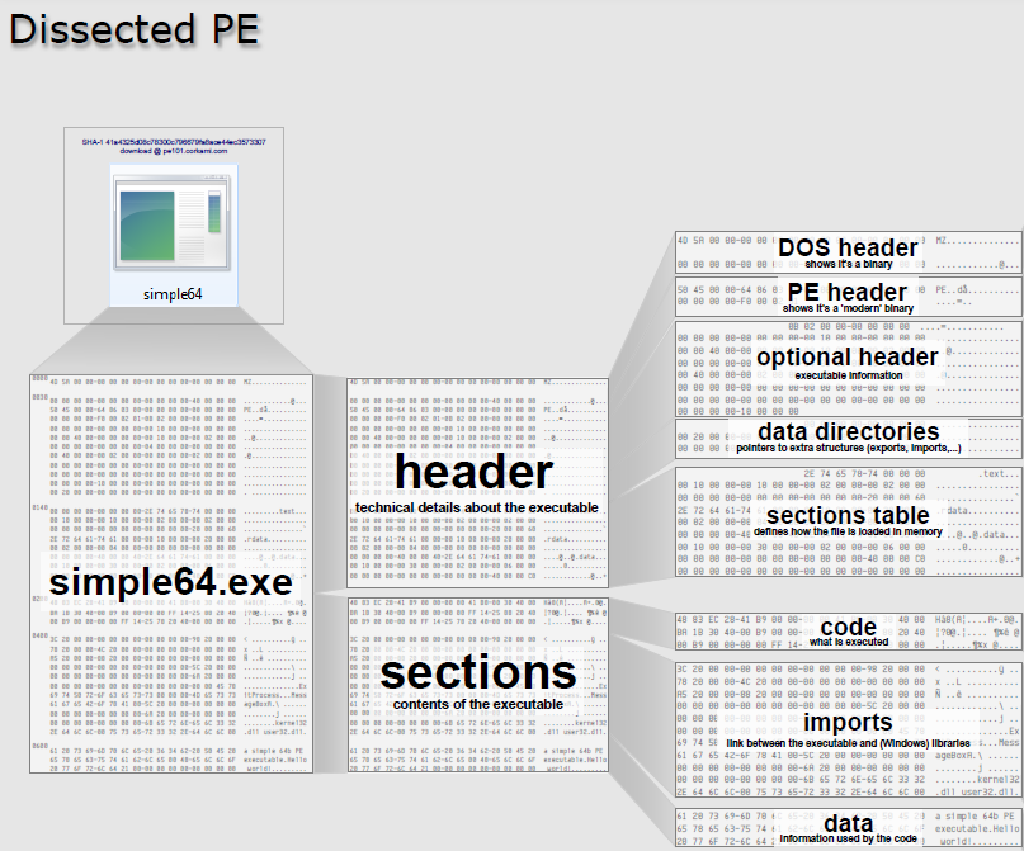 Pe Layout Tree Introduction to Windows Architecture · Gr1dSec